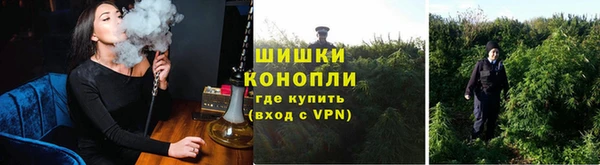 гидропоника Богородицк