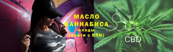 прущий лед Богданович