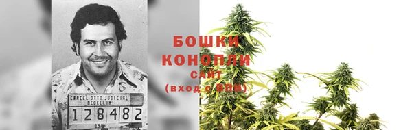 прущий лед Богданович