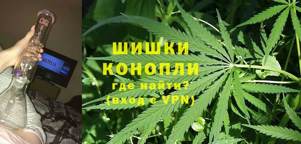 прущий лед Богданович