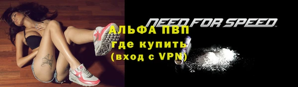 прущий лед Богданович