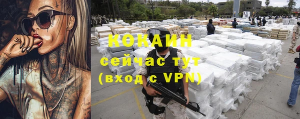 ECSTASY Богородск