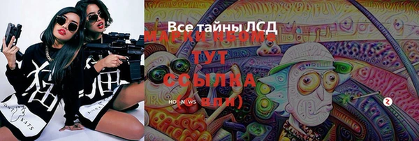 прущий лед Богданович