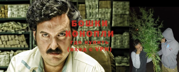 ECSTASY Богородск