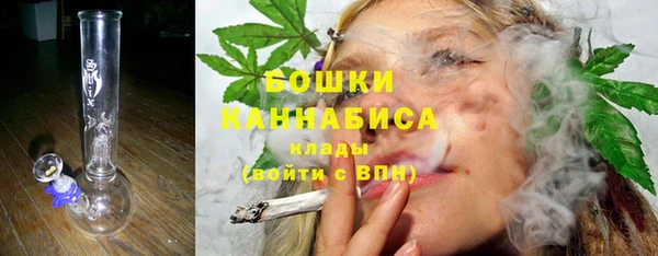прущий лед Богданович